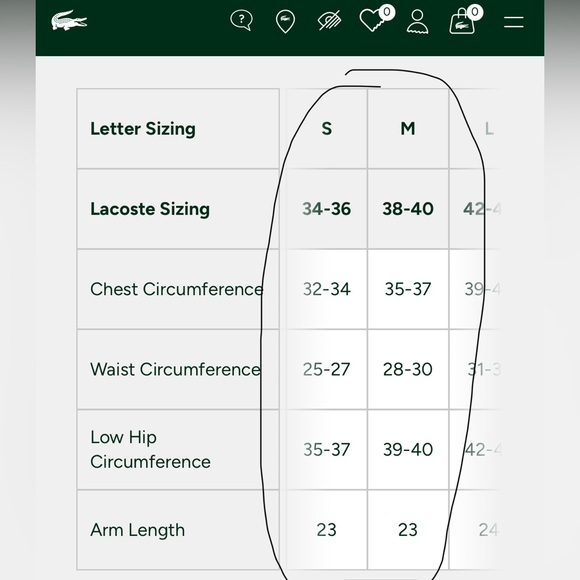 LACOSTE POLO SHIRT BUNDLE SIZE 36 & 38 - Picture 16 of 16